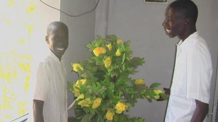 h��� walabook yaww